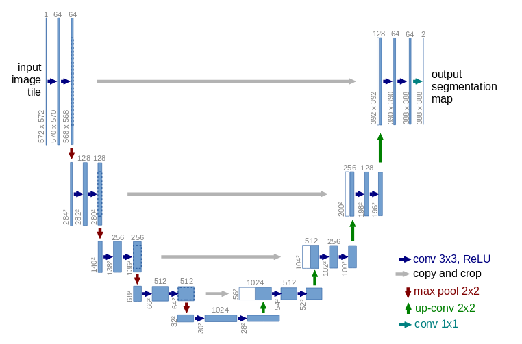 Figure from (Ronneberger, Fischer, and Brox 2015)