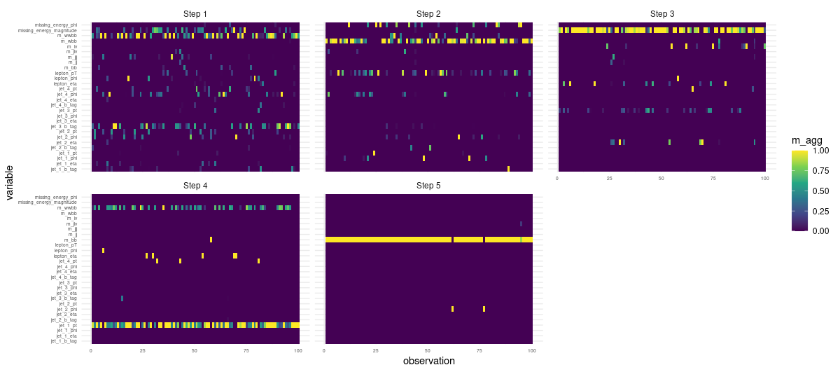 Per-observation, per-step feature importances.