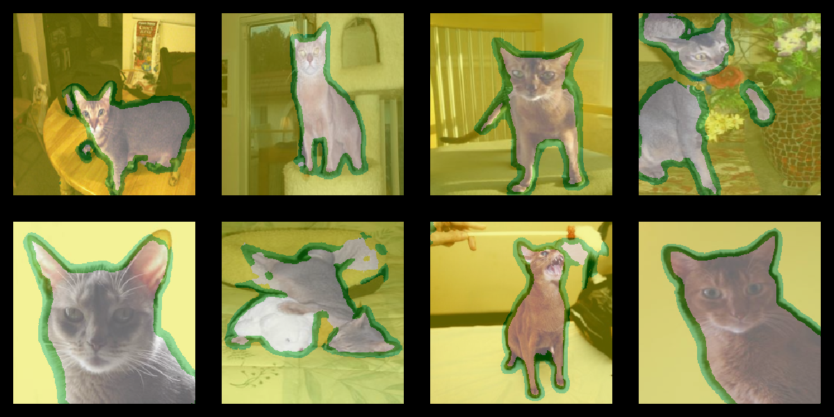 Learned segmentation masks, overlaid on images from the validation set.